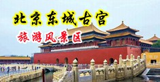 啊好爽再来插屁眼左线观看网站中国北京-东城古宫旅游风景区